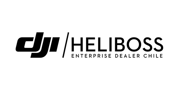 Logo Heliboss